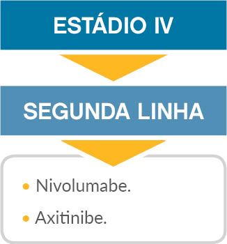 diagrama-estadio-iv-segunda-linha.jpg