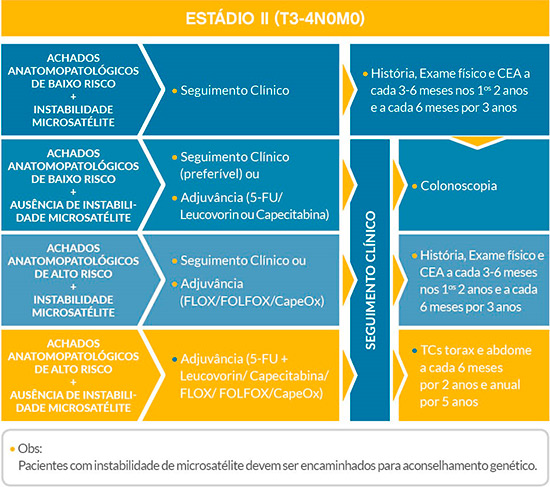 diagrama-gastrointestinal-estadio-ii-t3-4n0m0.jpg