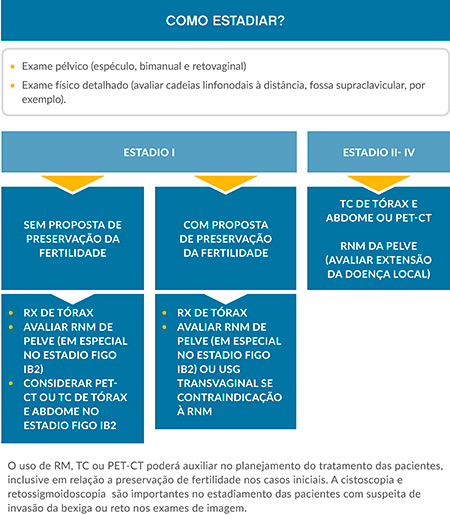 diagrama-ginecologico-como-estadiar.jpg