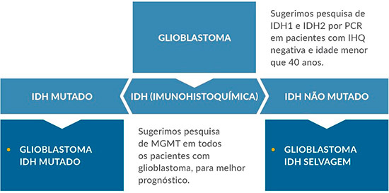 diagrama-glioma-patologia-gliomas-2.jpg