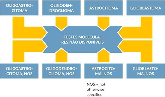 diagrama-glioma-patologia-gliomas-3.jpg