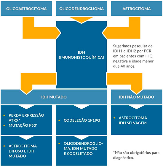 diagrama-glioma-patologia-gliomas.jpg