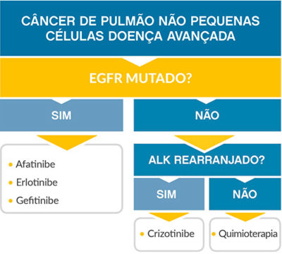 diagrama-pulmao-nao-pequenas-celulas-avancada-egfr.jpg