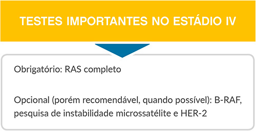 diagrama-testes-importantes-no-estadio-iv.jpg